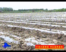 微信圖片_20200714090413.gif 微信圖片_20200714090413.gif