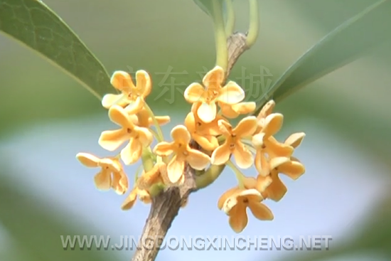 微信截圖_20200930154921.png 微信截圖_20200930154921.png