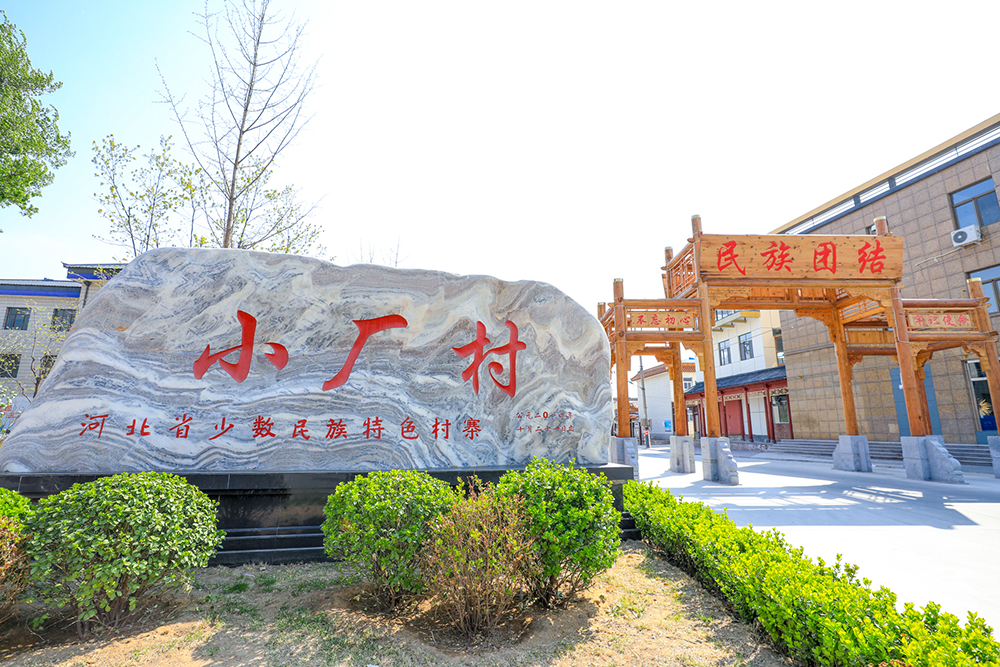 XNM_2509.JPG XNM_2509.JPG