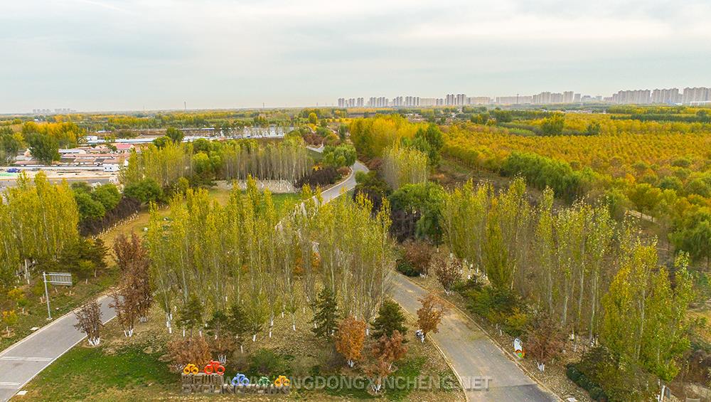 騎行小鎮(zhèn).jpg 騎行小鎮(zhèn).jpg