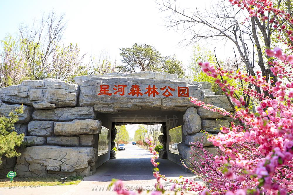 星河森林公園.jpg 星河森林公園.jpg
