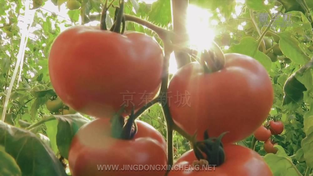 微信圖片_20230202165422.jpg 微信圖片_20230202165422.jpg